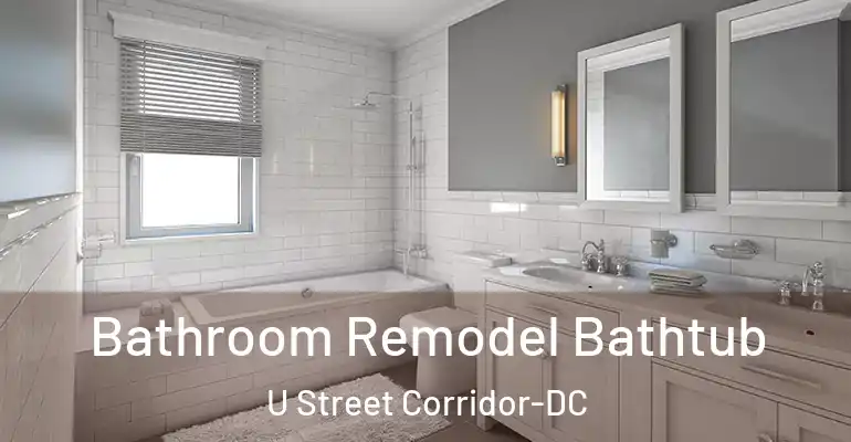 inner Bathroom imggen Bathroom Remodel Bathtub U Street Corridor-DC