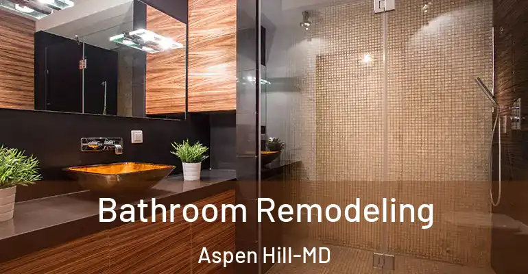 inner Bathroom imggen Bathroom Remodeling Aspen Hill-MD
