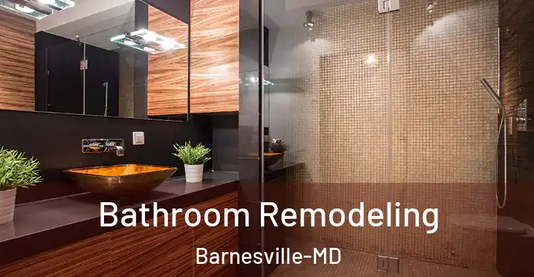 inner Bathroom imggen Bathroom Remodeling Barnesville-MD