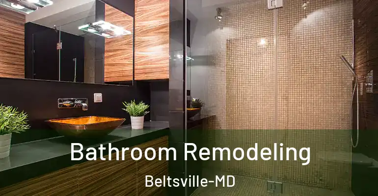 inner Bathroom imggen Bathroom Remodeling Beltsville-MD