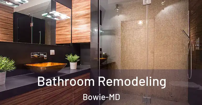 inner Bathroom imggen Bathroom Remodeling Bowie-MD