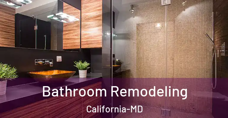 inner Bathroom imggen Bathroom Remodeling California-MD