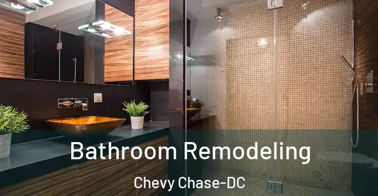 inner Bathroom imggen Bathroom Remodeling Chevy Chase-DC