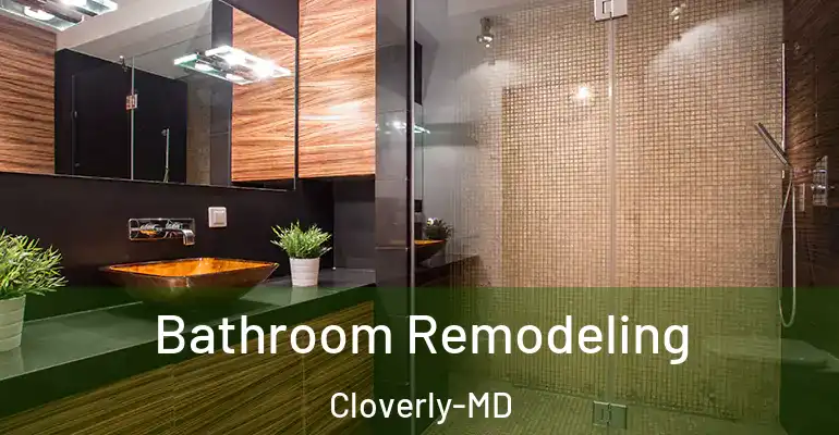 inner Bathroom imggen Bathroom Remodeling Cloverly-MD