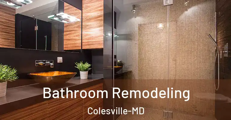 inner Bathroom imggen Bathroom Remodeling Colesville-MD
