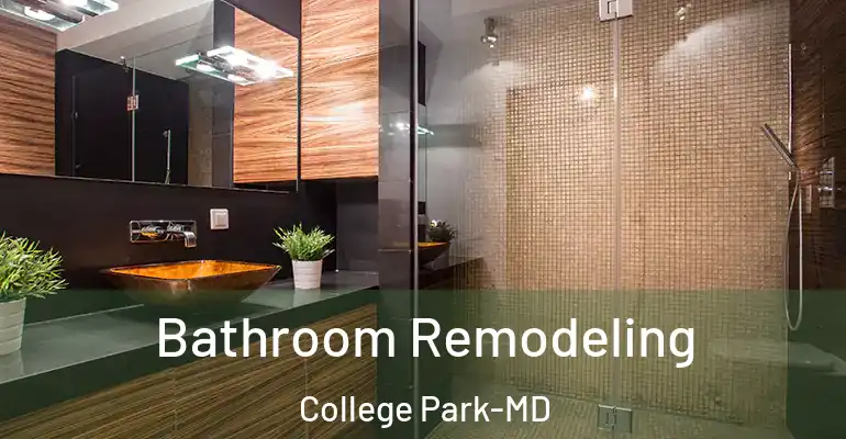 inner Bathroom imggen Bathroom Remodeling College Park-MD