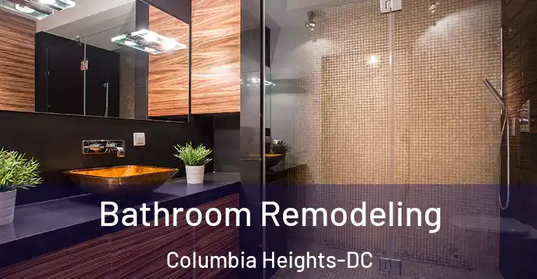 inner Bathroom imggen Bathroom Remodeling Columbia Heights-DC