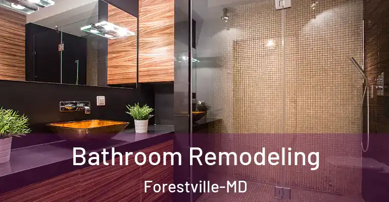inner Bathroom imggen Bathroom Remodeling Forestville-MD
