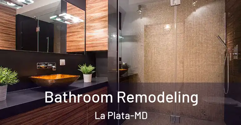 inner Bathroom imggen Bathroom Remodeling La Plata-MD