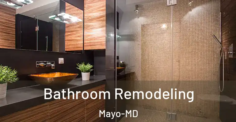 inner Bathroom imggen Bathroom Remodeling Mayo-MD