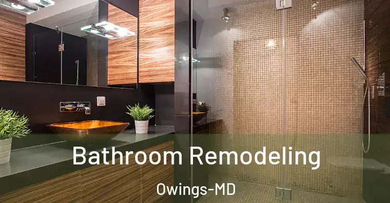 inner Bathroom imggen Bathroom Remodeling Owings-MD