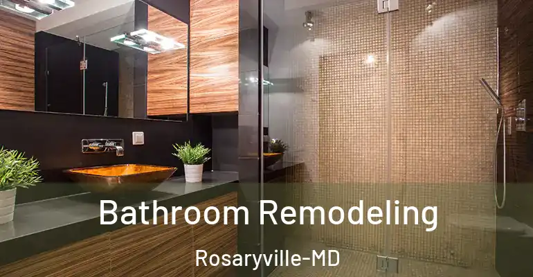 inner Bathroom imggen Bathroom Remodeling Rosaryville-MD
