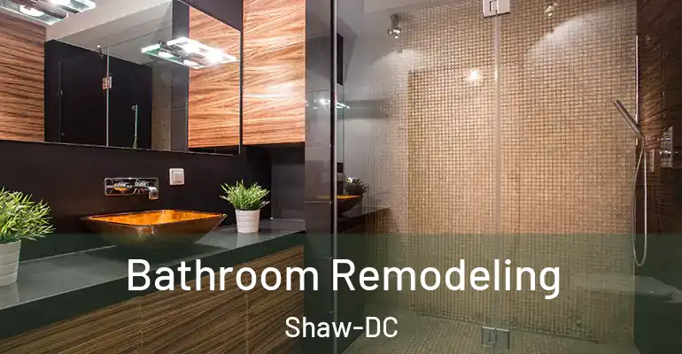 inner Bathroom imggen Bathroom Remodeling Shaw-DC
