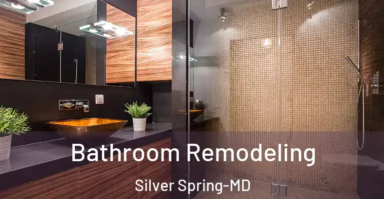 inner Bathroom imggen Bathroom Remodeling Silver Spring-MD