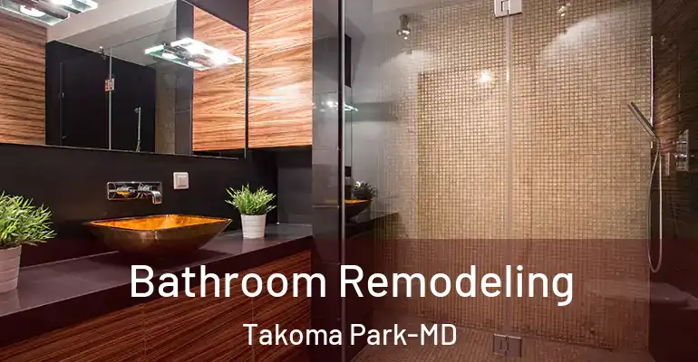 inner Bathroom imggen Bathroom Remodeling Takoma Park-MD