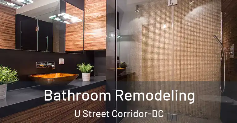 inner Bathroom imggen Bathroom Remodeling U Street Corridor-DC