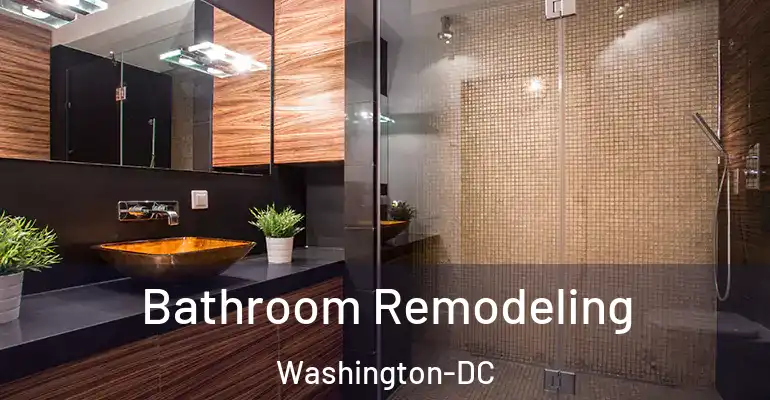 inner Bathroom imggen Bathroom Remodeling Washington-DC