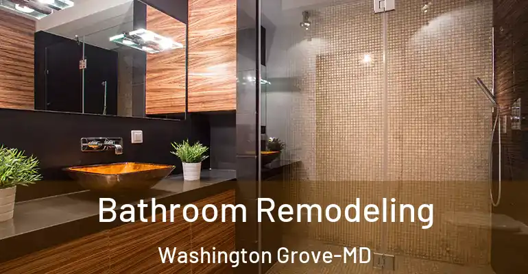 inner Bathroom imggen Bathroom Remodeling Washington Grove-MD