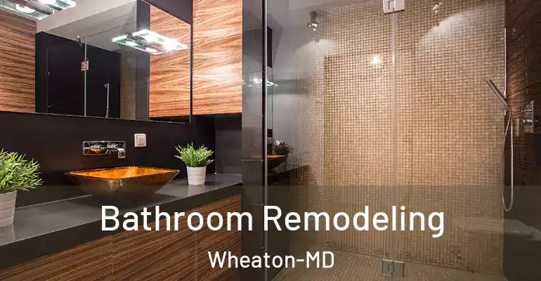 inner Bathroom imggen Bathroom Remodeling Wheaton-MD