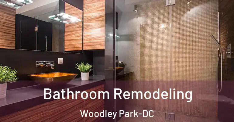 inner Bathroom imggen Bathroom Remodeling Woodley Park-DC
