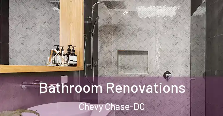 inner Bathroom imggen Bathroom Renovations Chevy Chase-DC