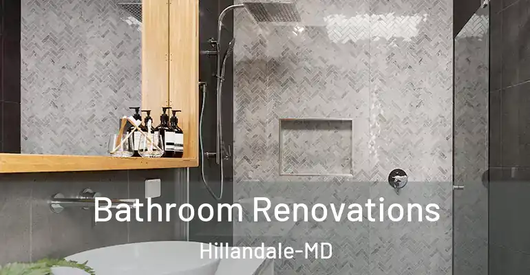 inner Bathroom imggen Bathroom Renovations Hillandale-MD