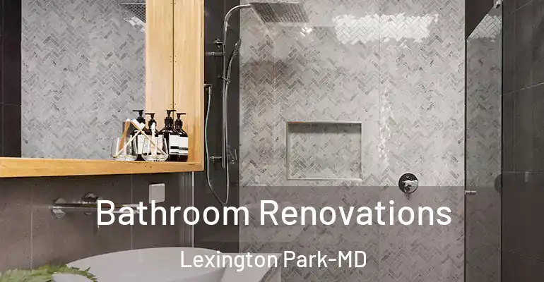 inner Bathroom imggen Bathroom Renovations Lexington Park-MD