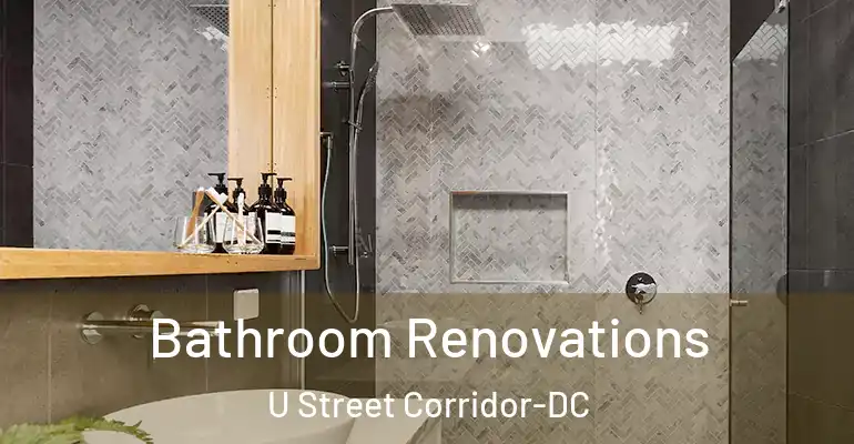 inner Bathroom imggen Bathroom Renovations U Street Corridor-DC
