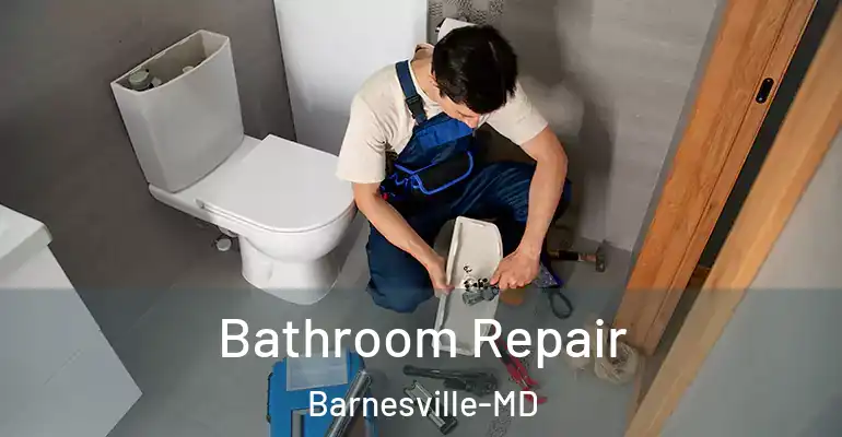 inner Bathroom imggen Bathroom Repair Barnesville-MD