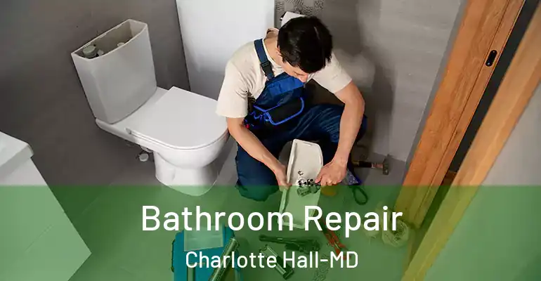 inner Bathroom imggen Bathroom Repair Charlotte Hall-MD