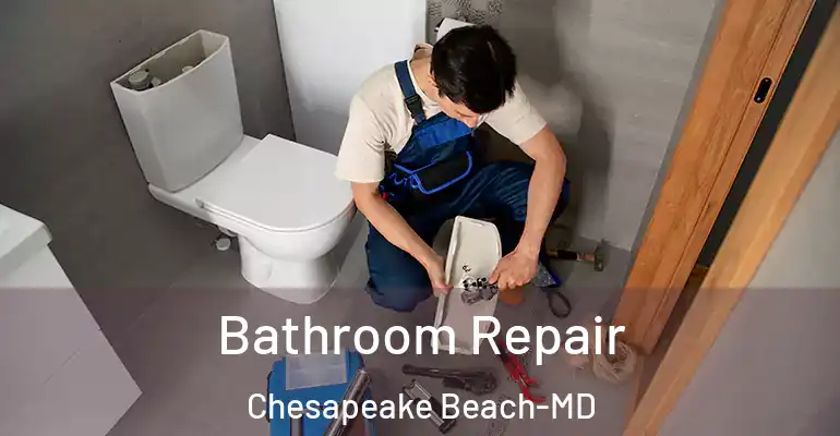 inner Bathroom imggen Bathroom Repair Chesapeake Beach-MD