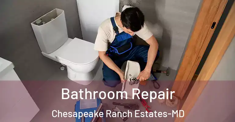 inner Bathroom imggen Bathroom Repair Chesapeake Ranch Estates-MD