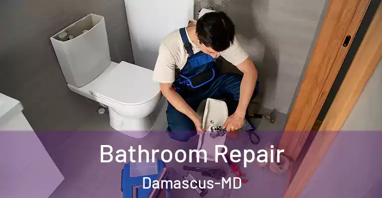 inner Bathroom imggen Bathroom Repair Damascus-MD