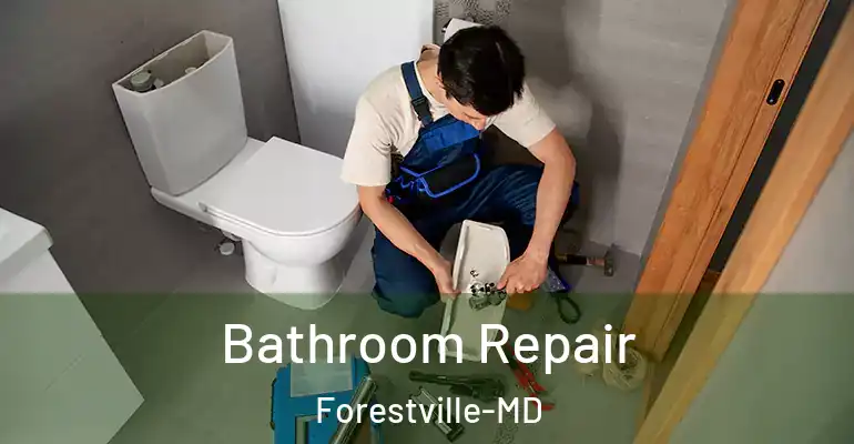 inner Bathroom imggen Bathroom Repair Forestville-MD