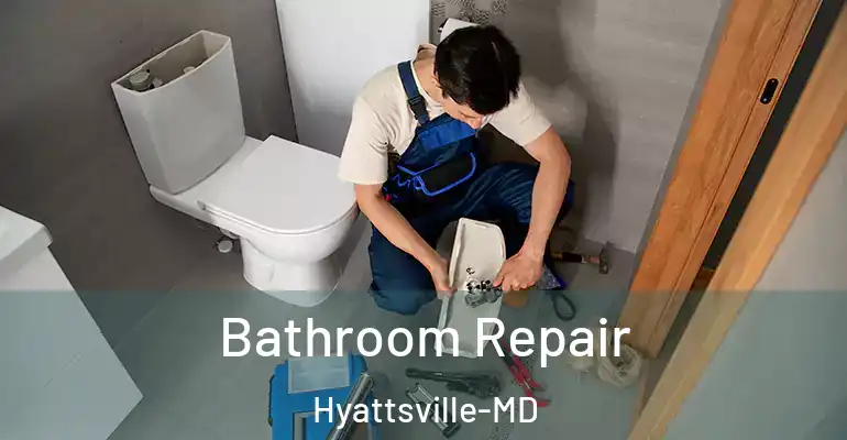 inner Bathroom imggen Bathroom Repair Hyattsville-MD