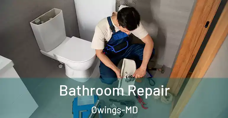 inner Bathroom imggen Bathroom Repair Owings-MD