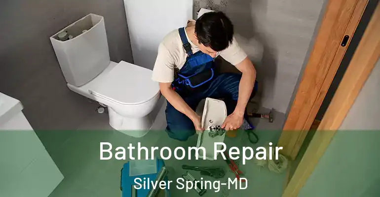 inner Bathroom imggen Bathroom Repair Silver Spring-MD