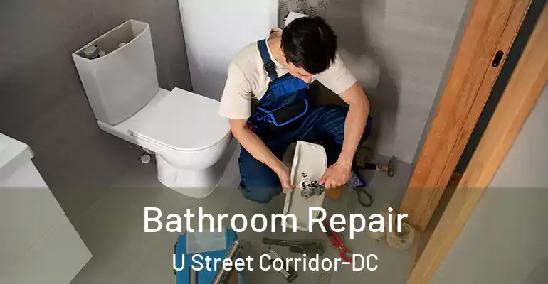 inner Bathroom imggen Bathroom Repair U Street Corridor-DC