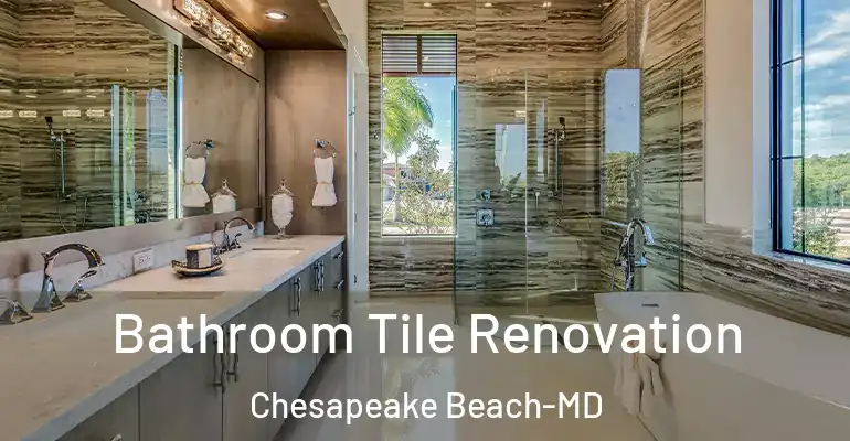 inner Bathroom imggen Bathroom Tile Renovation Chesapeake Beach-MD