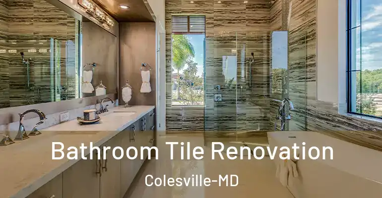 inner Bathroom imggen Bathroom Tile Renovation Colesville-MD