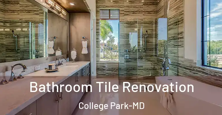 inner Bathroom imggen Bathroom Tile Renovation College Park-MD