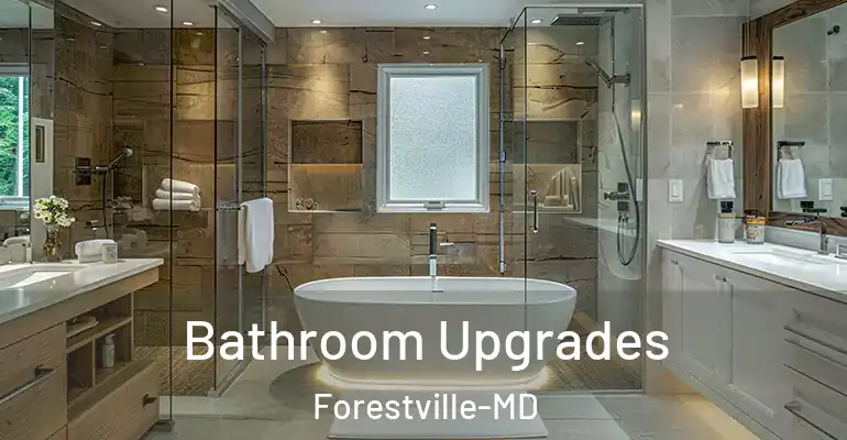 inner Bathroom imggen Bathroom Upgrades Forestville-MD