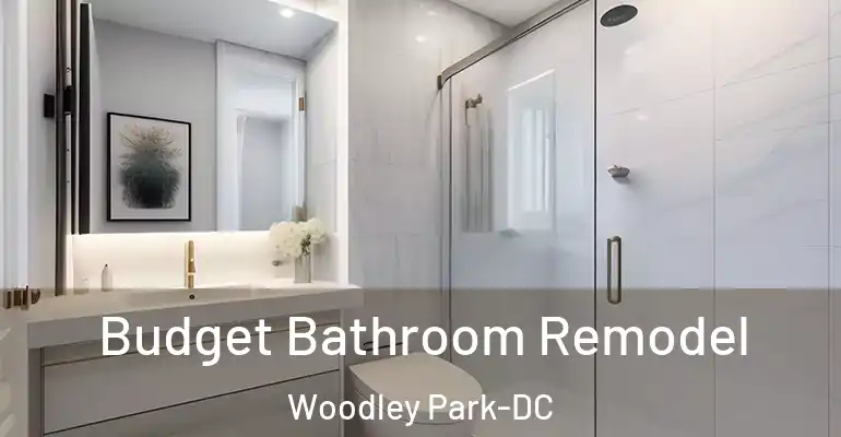 inner Bathroom imggen Budget Bathroom Remodel Woodley Park-DC