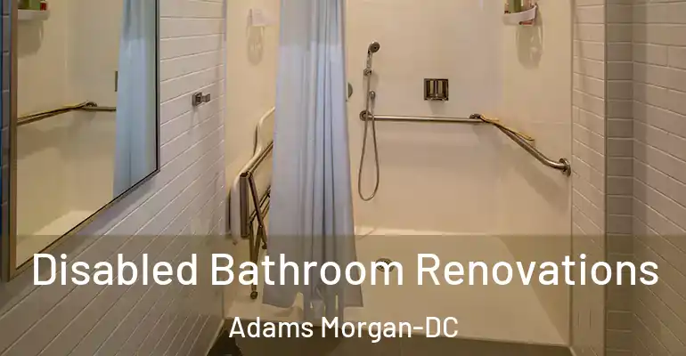 inner Bathroom imggen Disabled Bathroom Renovations Adams Morgan-DC