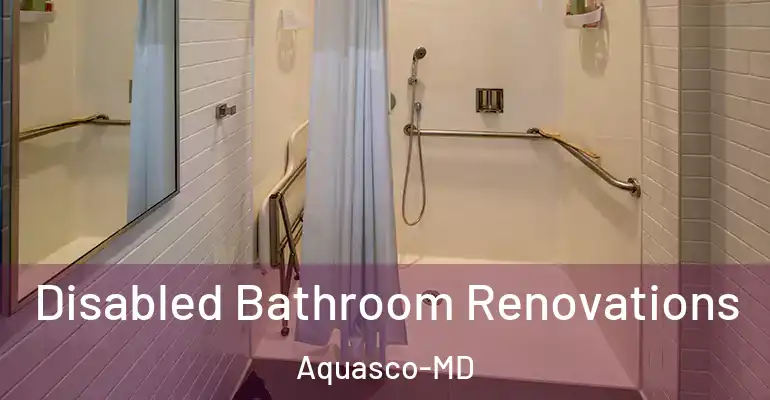 inner Bathroom imggen Disabled Bathroom Renovations Aquasco-MD