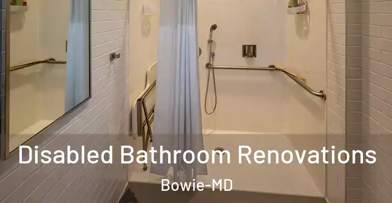inner Bathroom imggen Disabled Bathroom Renovations Bowie-MD