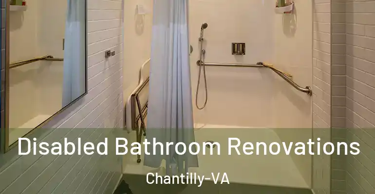 inner Bathroom imggen Disabled Bathroom Renovations Chantilly-VA