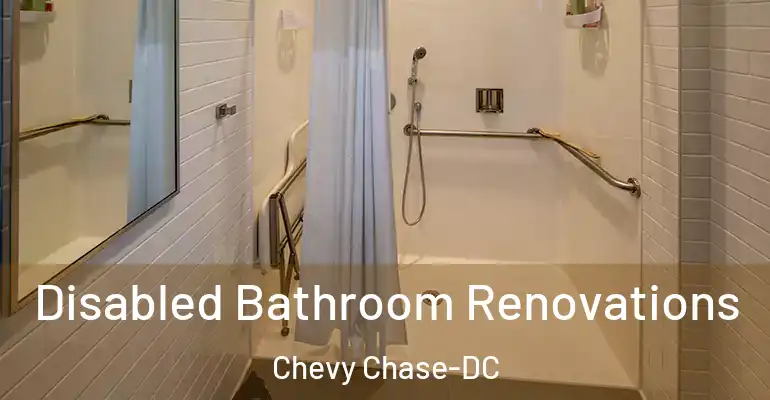 inner Bathroom imggen Disabled Bathroom Renovations Chevy Chase-DC