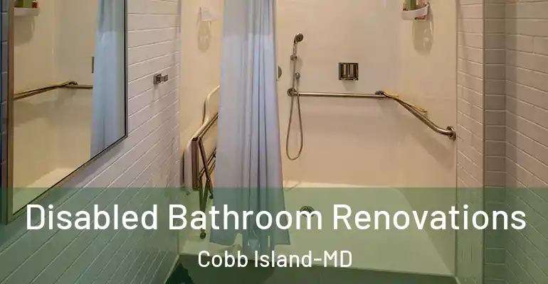 inner Bathroom imggen Disabled Bathroom Renovations Cobb Island-MD
