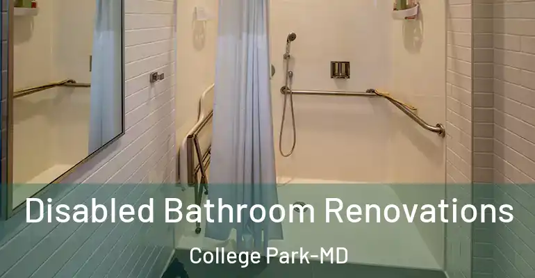 inner Bathroom imggen Disabled Bathroom Renovations College Park-MD